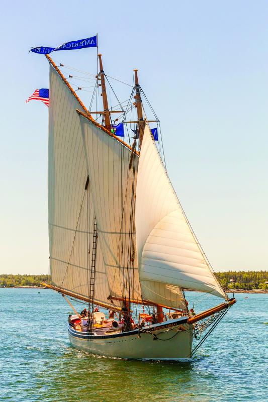 american eagle sailboat